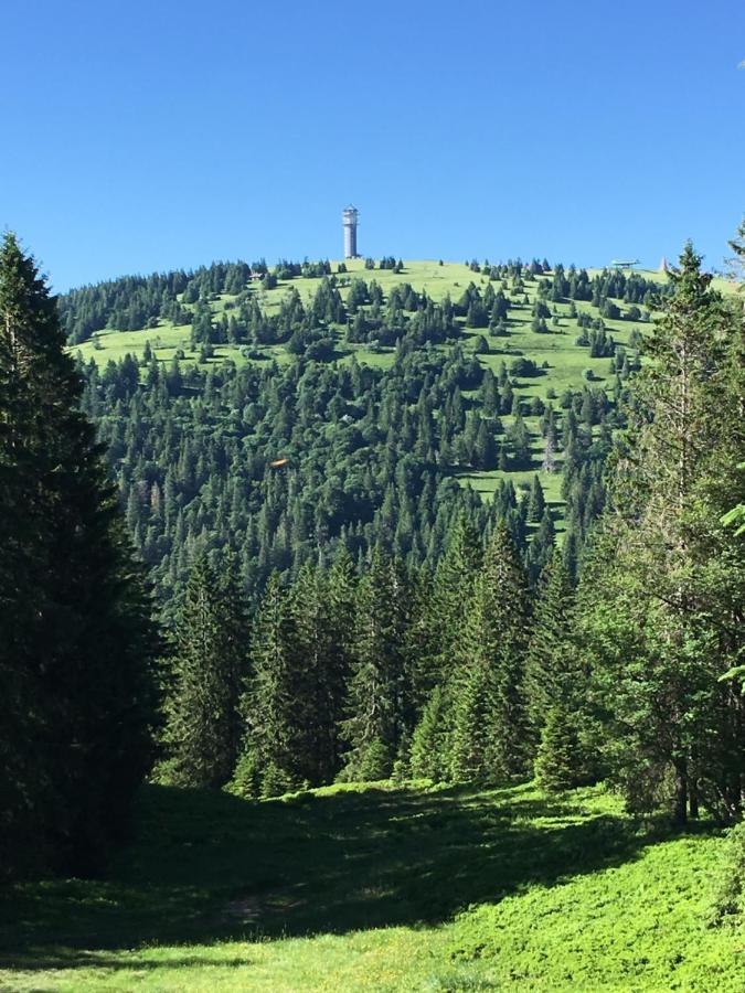 Ferienwohnung Heimweg Feldberg  Εξωτερικό φωτογραφία