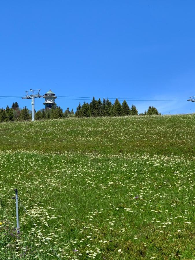 Ferienwohnung Heimweg Feldberg  Εξωτερικό φωτογραφία