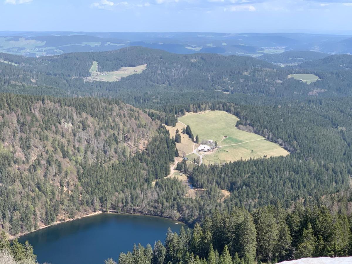 Ferienwohnung Heimweg Feldberg  Εξωτερικό φωτογραφία
