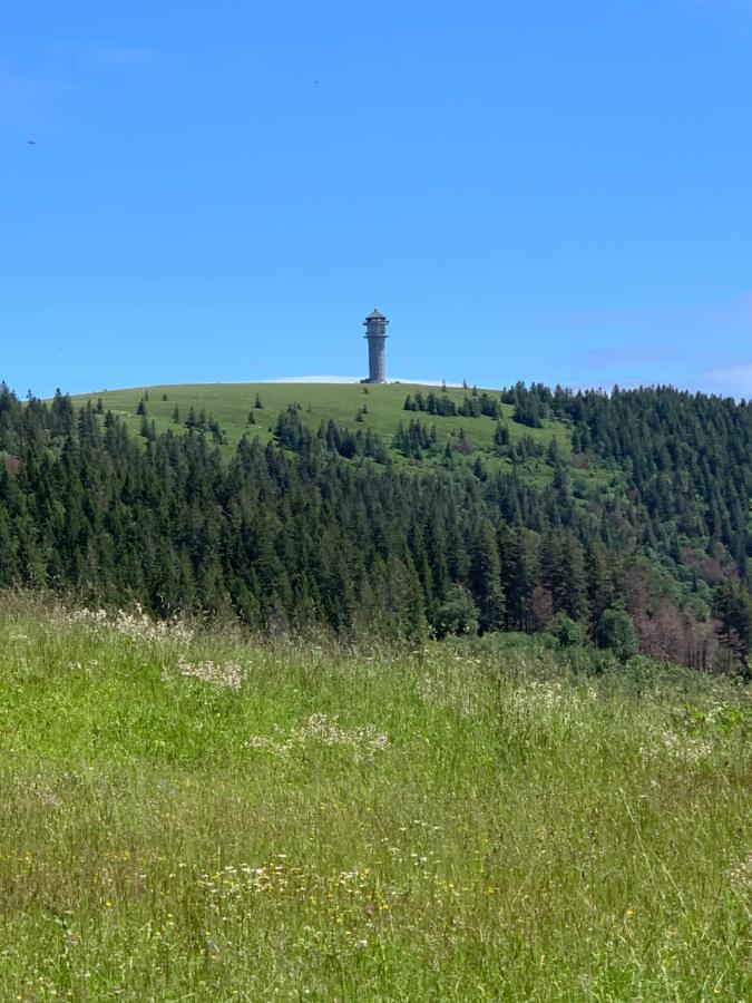 Ferienwohnung Heimweg Feldberg  Εξωτερικό φωτογραφία