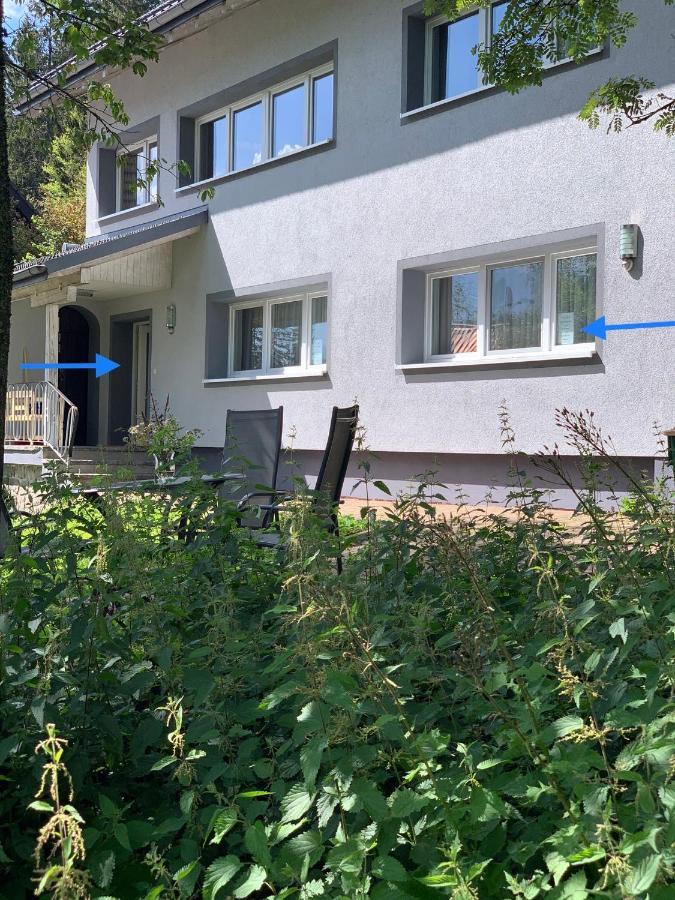 Ferienwohnung Heimweg Feldberg  Εξωτερικό φωτογραφία