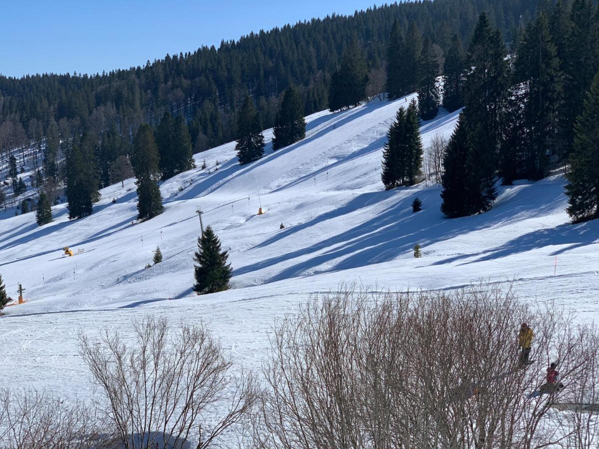 Ferienwohnung Heimweg Feldberg  Εξωτερικό φωτογραφία
